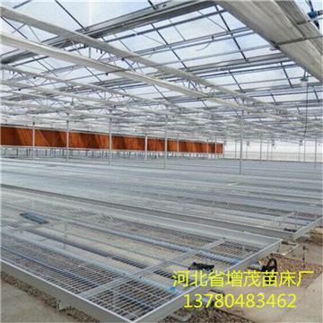 <a href='/' target='_blank'><a href='/' target='_blank'>溫室苗床</a>網(wǎng)</a>廠(chǎng)家